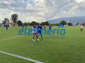 anagennisiparaliasethikosmeligalaf20fasi_result